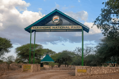 tarangire-park-entry-fees